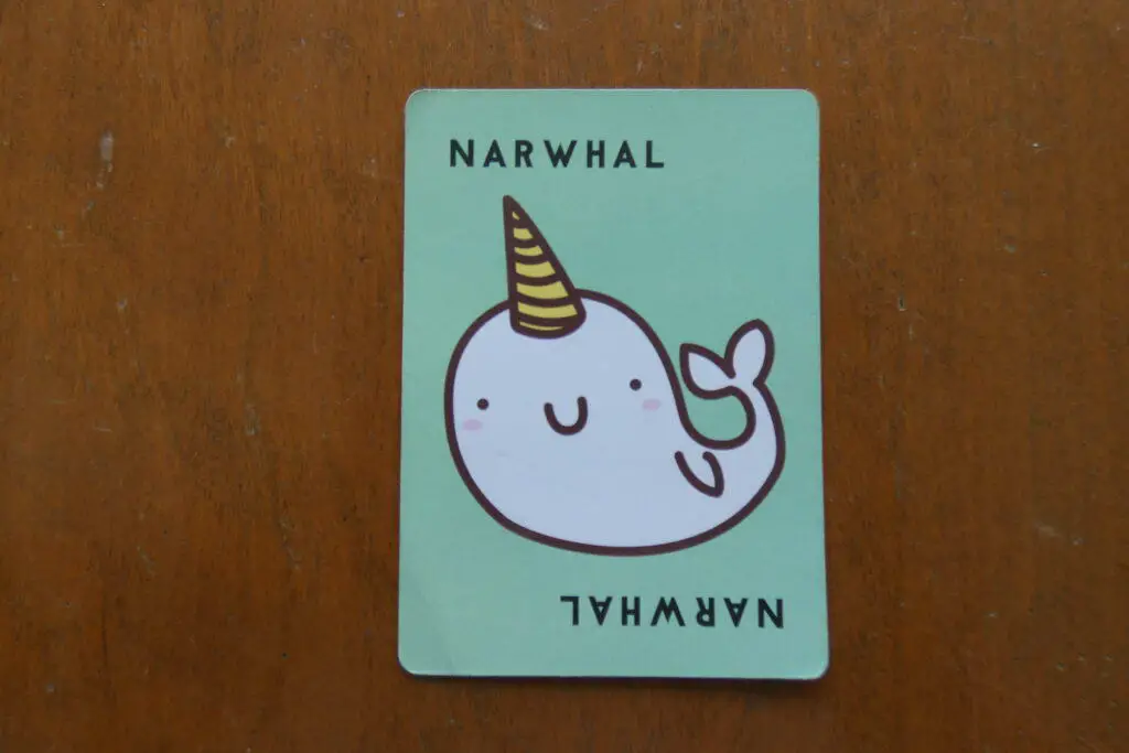 Narwhal Taco Cat Goat Cheese Pizza